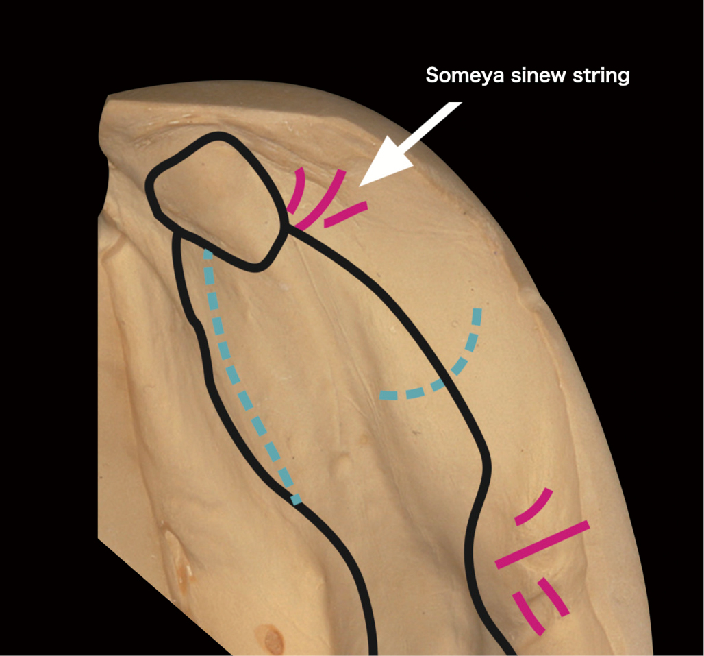 Fig 2